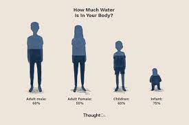 The amount of water a body contains varies according to certain contexts : How Much Of Your Body Is Water What Percentage