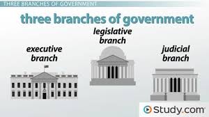 The 3 Branches Of Government Executive Legislative Judicial