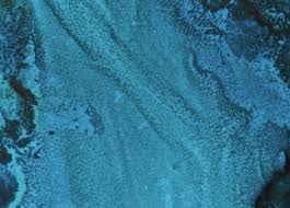 19-07-31_FUNDAÇAO RENOVA_CONSELHO CONSULTIVO_CADERNO 2.indd