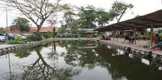 Pemancingan Saung Desa Big Fish Strike Pebayuran