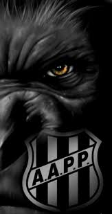 A ponte preta realizou uma substituição fora de campo. Ponte Preta