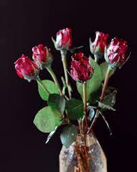 Swirl it around until it is completely covered. Wax Dipped Flowers Camille Styles
