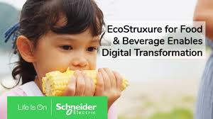 Lucy Karina Casas Cantu