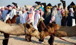 A hallmark event is one which changes someone or the world significantly. 99 Bucket List Events Around The World International Events Festivals