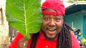 Fort Pierce man goes viral, captures internet with his unusual garden