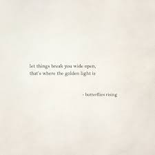 Let Things Break You Wide Open That S Where The Golden Light Is Butterflies Rising Words Quotes Wisdom Quotes Quotes