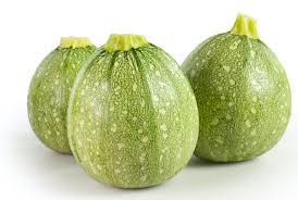 Cue Ball Squash Hybrid Zucchini Premium Garden Seeds Hoss Tools