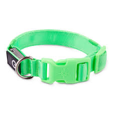Good2go Neon Green Led Light Up Dog Collar Small Petco