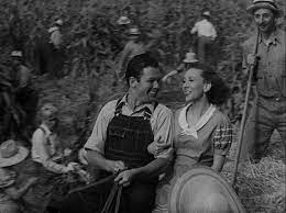 The movie is somewhat popular with reelgood users lately. Our Daily Bread Mk2 Films