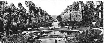 Où adultes, ils reviennent goûter le calme reposant des om. Alger Le Jardin D Essai Avant 1956 Quartier Du Hamma Carte Postale Ancienne Et Vue D Hier Et Aujourd Hui Geneanet