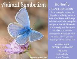Changing life cycles, rebirth, and renewal. Butterfly Animal Totem Meaning