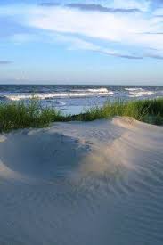 Blackbeard Island National Wildlife Refuge Culture Travel National Wildlife Refuge Georgia Travel