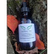 Goldenrod Elixir 2oz Etsy Herbalism Seasonal Allergies Goldenrod