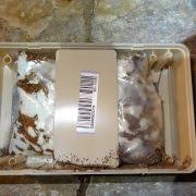 Health hazards and even fatalities have resulted from poor judgment and advice. Angie S List Super Service Award Greenhow Pest And Termite Control Boston