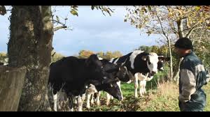 La Marque Cooperative Paysan Breton Youtube
