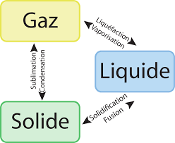 Identifier Les Phenomenes Physico Chimiques A La Base Des Transformations Culinaires Par Quels Moyens Sont Realisees Les Transformations Culinaires