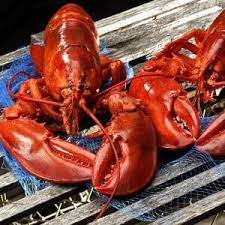 Aug 14, 2018 · at most stores, a lobster will be in the one to four pounds ranging, meaning, the average price will be anywhere from $8 to $60+ for a lobster. Order 2 Lb Lobsters Direct From The Source Shipped From Maine