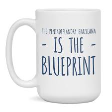 Image result for Pentadiplandra brazzeana