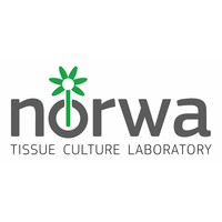 We did not find results for: Norwa Tissue Culture Laboratory Linkedin