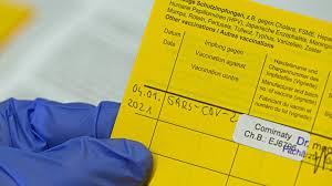 Der neue impfpass soll bis zum sommer vorliegen. Coronavirus Impfpass Fur Geimpfte Virologe Will Mehr Freiheiten Swr Aktuell