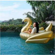 Tidak tersedia jual beli perlengkapan renang. Pelampung Renang Dewasa Gold Swan Pool Float Tubes Terbaru Besar Di Jakarta Tribunjualbeli Com