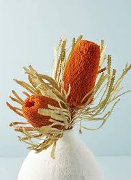 Check spelling or type a new query. Banksia Dried Flowers Preserved Flowers Natural Real Etsy In 2021 Dried Flower Arrangements Australian Flowers Dried Flowers