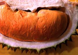Durian duri hitam merupakan durian unggul asal malaysia. Durian Duri Hitam Black Thorn Ochee Buah Buah Impian