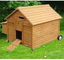 Poulailler mobile Landais 6 à 8 poules toit bois avec roulettes