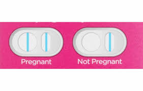 Equate Early Result Pregnancy Test Horizontal Line Cpg Health