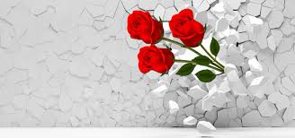 3d Roses Background Free Background Photos Flower Pattern Design Flower Backgrounds
