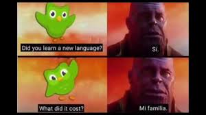 Duolingo Memes Dank Memes Amino