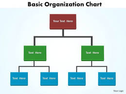 Marketing Diagram Basic Organization Chart Editable Sales