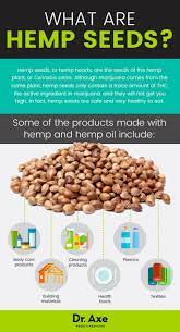 Pin On Super Foods
