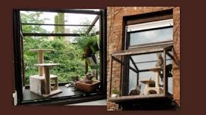 Cat Balcony Made For Windows Mit Bildern Katze Balkon Katzen Katzengarten