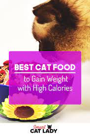 Best Cat Food To Gain Weight With High Calories Best Cat Food Cat Food Cool Cats