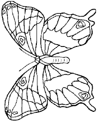 Giochi da colorare per bambini. Farfalle Disegni Per Bambini Da Colorare