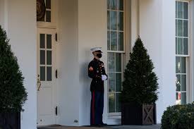If you use lush, leafy hydrangeas to camouflage an unsightly foundation, leave a couple of feet between the plants and the house so they have room to spread. Like A Ghost In The White House The Last Days Of The Trump Presidency Politico