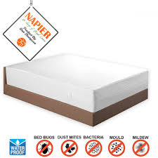 This means that pests such as bed bugs and fleas cannot go through them. Mattress Encasement Bed Bug Proof Waterproof Bed Bug Products
