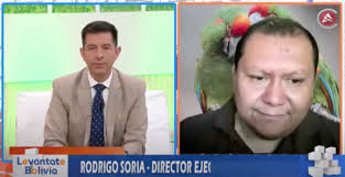 🐦🦜 En el Día Mundial de las Aves Rodrigo Soria, director ejecutivo de  Armonía, habla de la importancia de la conservación de aves ya que su  presencia es un indicador de la buena salud de los ...