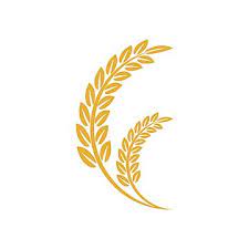 Vector Logo Design And Elements Of Wheat Grain Wheat Ears Seed Or Rye Prosperity Symbol Vector Logo Design Farm Logo Design Logo Design