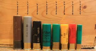 Testing birdshot vs buckshot vs slug for home defense slow mo & damage close ups this test really opened my eyes ! Shotgun Gauges Explained 10 Vs 12 Vs 16 Vs 20 Vs 28 Vs 410 Big Game Hunting Blog