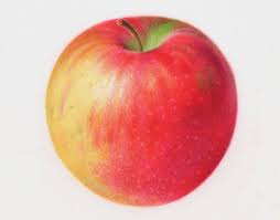 Brief Video Tutorial Of Painting A Realistic Apple In Watercolor Apple Painting Art Tutorials Watercolor Watercolor Lessons