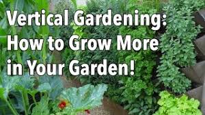 Maybe you would like to learn more about one of these? Vertical Gardening Simple Ideas For A Vertical Vegetable Garden Youtube