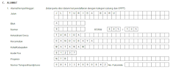 Dimana dalam pelaporannya terbagi ke dalam dua yaitu pelaporan secara bulanan atau tahunan. Cara Mengisi Formulir Npwp Pribadi 2021 Tutorial Pajak