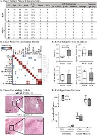 Click on the link below to download full copy. Genome Wide Dna Methylation Encodes Cardiac Transcriptional Reprogramming In Human Ischemic Heart Failure Laboratory Investigation