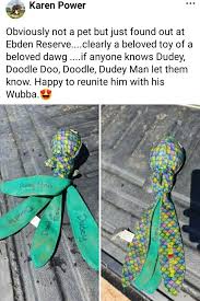 Missing since Wednesday 6th of November 2024 without any sightings! Please  if you see her flick me a photo of her with the location! 0428 531 556. If  you do have her