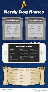 These female dog name ideas range from the most popular (you can't get more classic than lucy or bailey) to the more unique (how about mochi or jo?) — a little something for every kind of personality. Nerdy Dog Names 185 Awesome Names For Your Pup Infographic