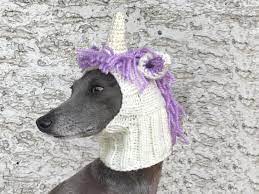 Unicorn Dog Hat Unicorn Dog Snood Knit Unicorn Dog Hat Dog Snood Knit Dog Hat Dog Hat
