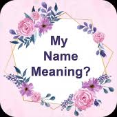 Do you ever wonder what your name means, well find out here www.paulsadowski.com/numbers.asp my name means supplanter and i cracked up when i found out my brother's name means little king, have fun :) do you ever wonder what your name. My Name Meaning Maker Stylish Name Maker 1 0 Apk Com Sparkleapp Mynamemeaning Apk Download