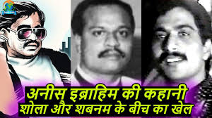 Anees Ibrahim Biography